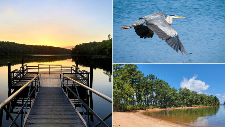 12 Biggest Lakes In Georgia Perfect For Boating, Fishing, And Summer Escapes
