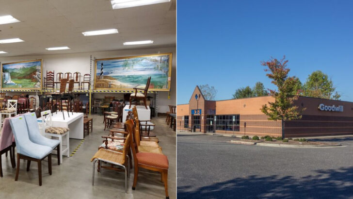 12 Biggest Second-Hand Shops In North Carolina Worth Visiting This Year
