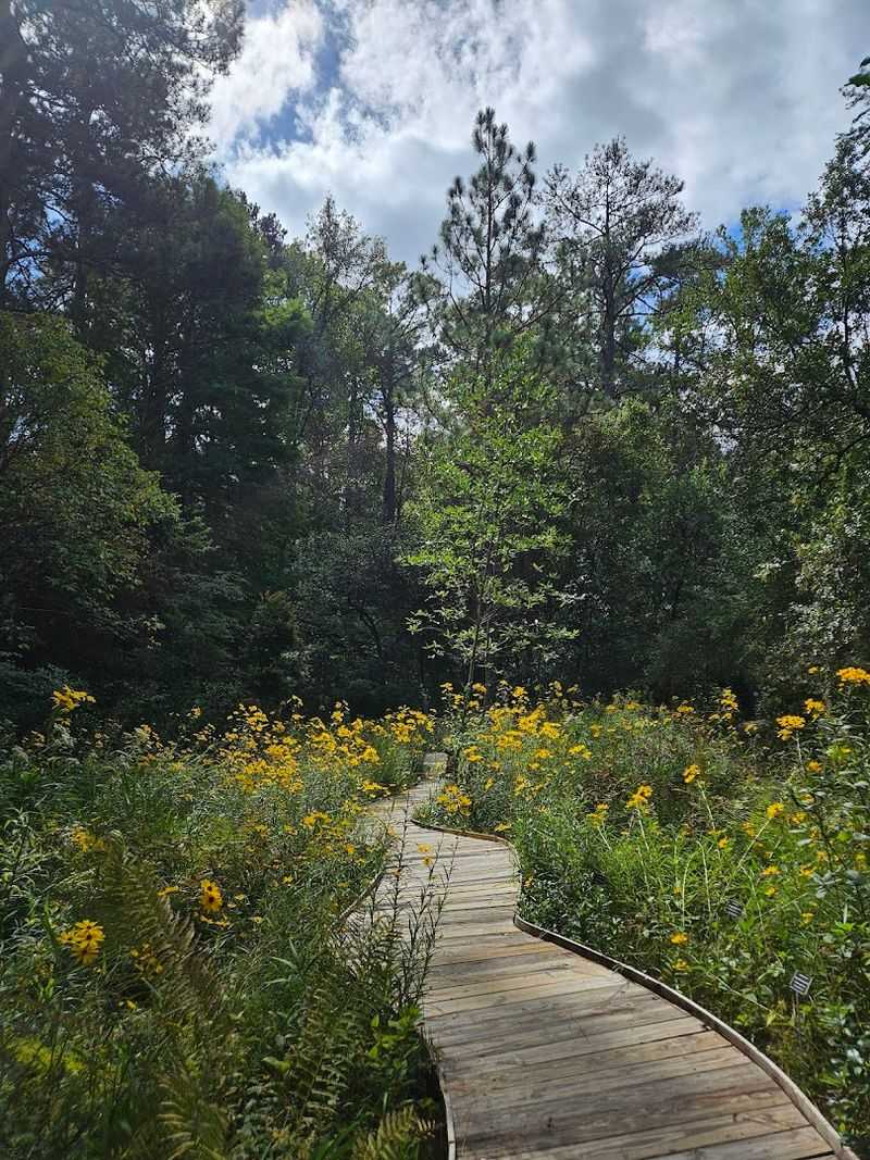 North Carolina Botanical Garden – Chapel Hill