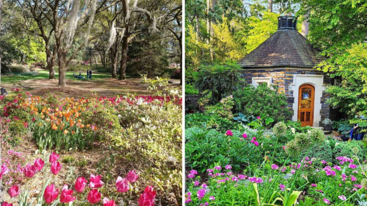 12 Botanical Gardens In North Carolina That Highlight Native Plants And Scenic Trails