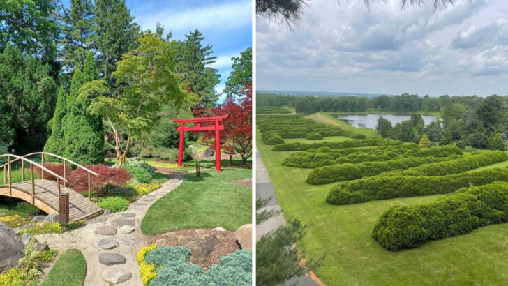 12 Botanical Gardens In Ohio That Showcase Stunning Seasonal Blooms