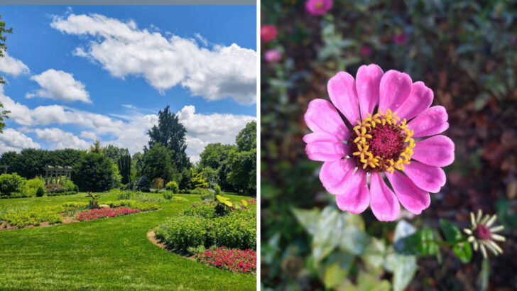 12 Botanical Gardens In Virginia That Showcase Native And Exotic Plant Life