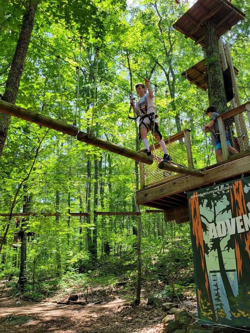 The Adventure Park at Storrs