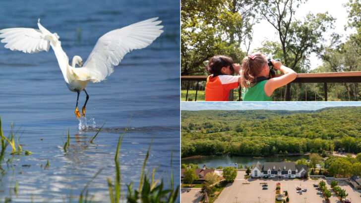 12 Connecticut Safari Adventures Families Will Be Talking About For Weeks