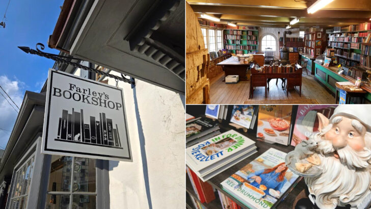 12 Cozy Hidden Bookshops in Pennsylvania Every Reader Should Discover