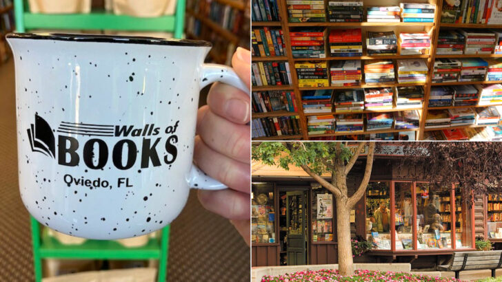 12 Cozy Hidden Bookstores in Florida That Every Reader Should Visit