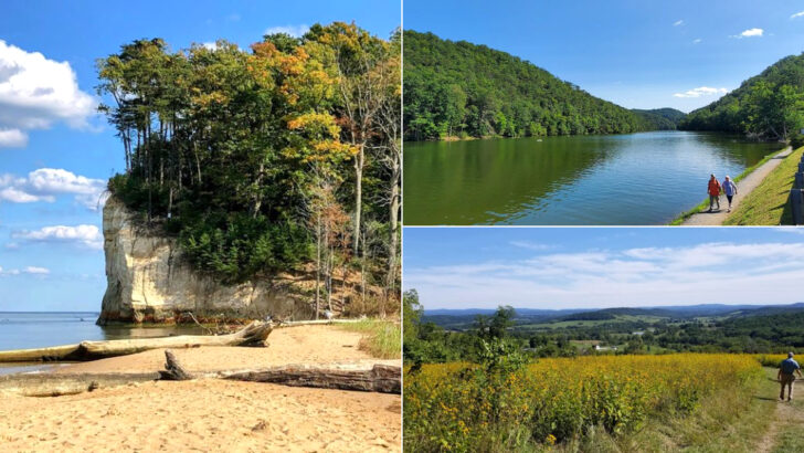 12 Family-Friendly Parks In Virginia Where Kids Can Explore To Their Hearts&rsquo; Content
