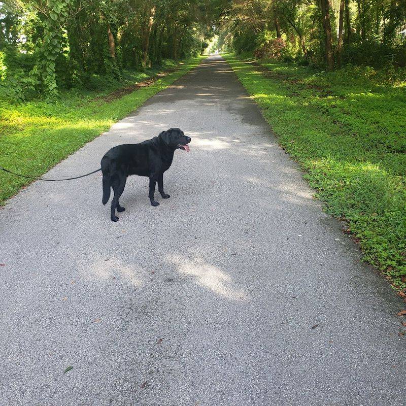 Withlacoochee State Trail