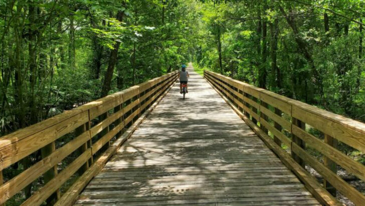12 Florida Bike Trails Perfect For Cyclists Who Love Long Rides