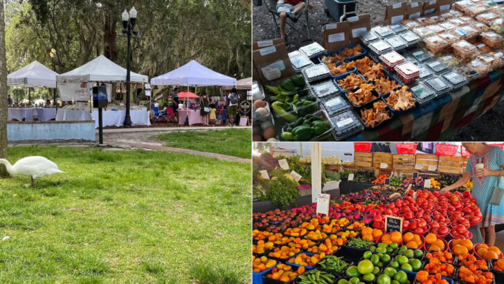 12 Florida Farmers Markets Full of Citrus, Seafood, and Local Flavor in May