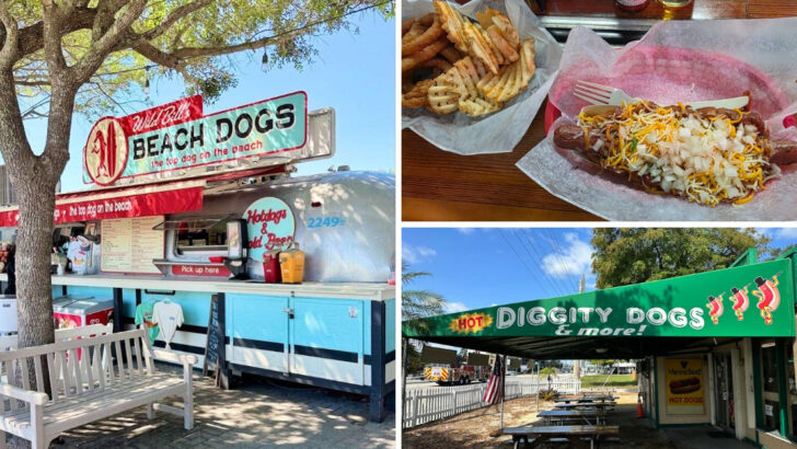 12 Florida Hot Dog Restaurants Where Every Bite Feels Like A Classic Street Food Experience