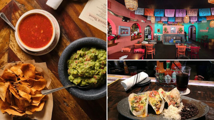 12 Florida Tex-Mex Restaurants Serving Sizzling Plates And Sunny Patio Vibes