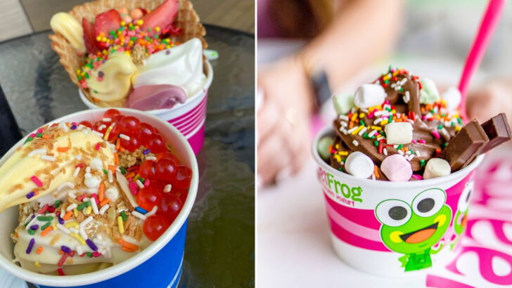 12 Georgia Frozen Yogurt Shops Where Dessert Feels Like A Playground For Adults