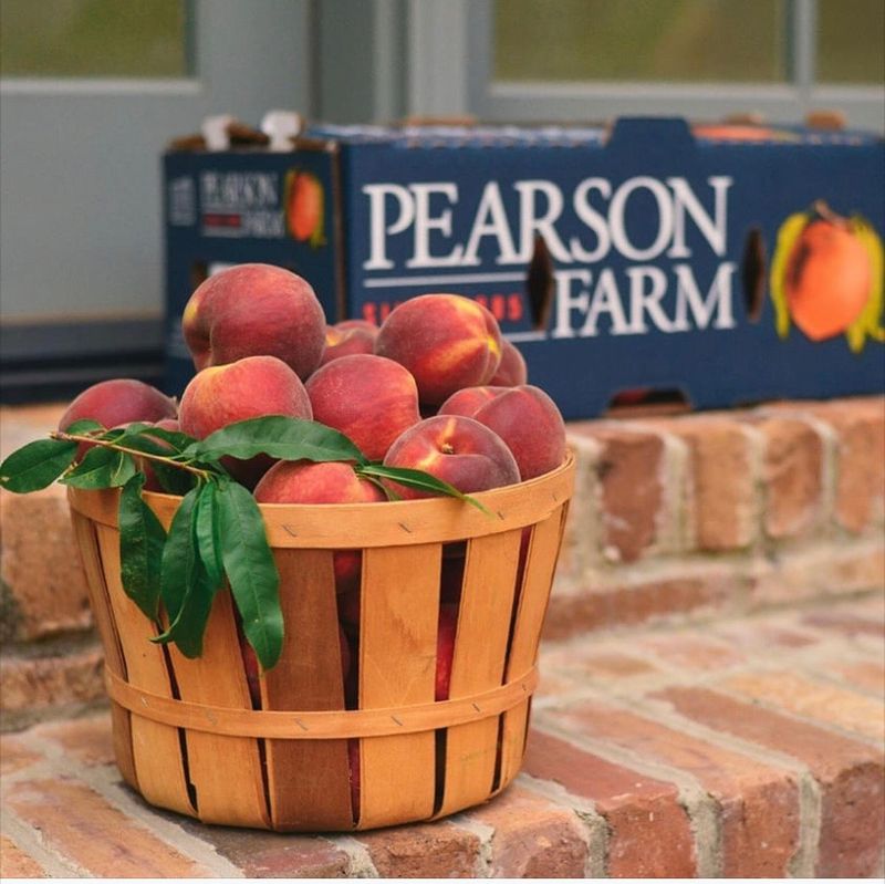 Georgia Peach Festival - Byron, Peach