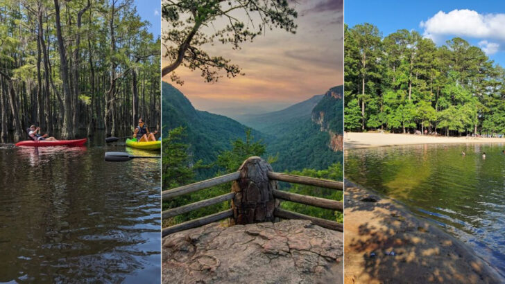 12 Georgia Parks So Large You Could Spend Days Exploring Them