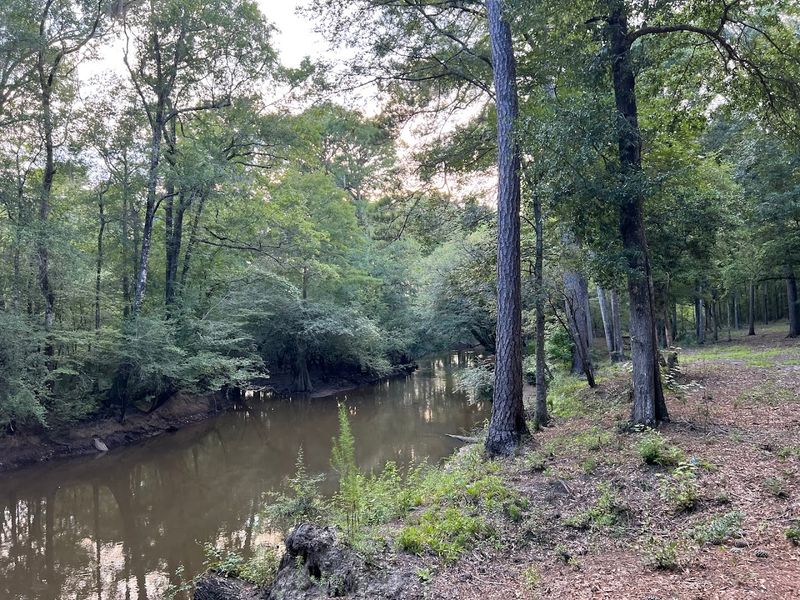 Ogeechee Riverwalk &mdash; Louisville
