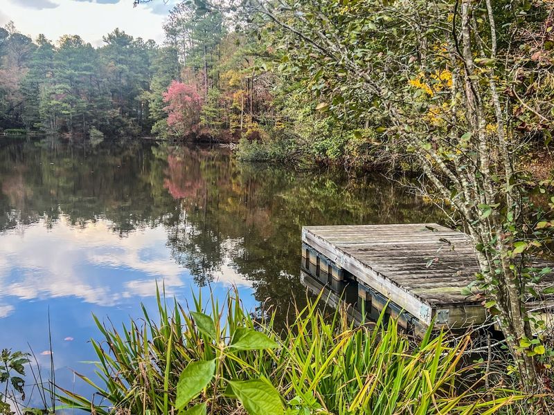 Chattahoochee Nature Center River Trails - Roswell