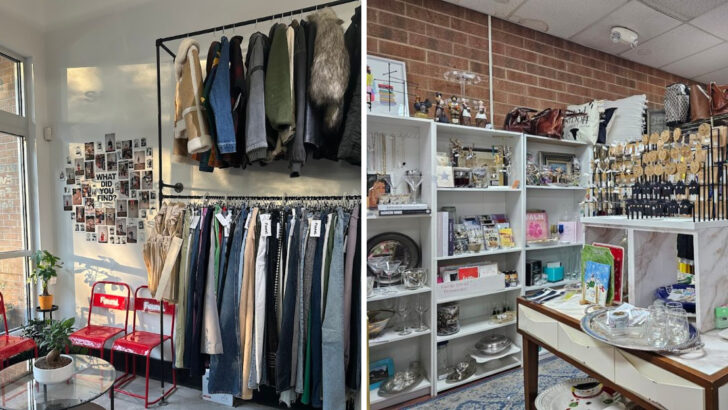 12 Hidden North Carolina Thrift Stores Where Bargain Hunters Strike Gold