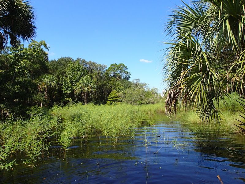 St. Johns River