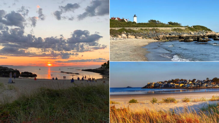 12 Massachusetts Places Where Snorkeling Reveals A Different Side Of The Coast
