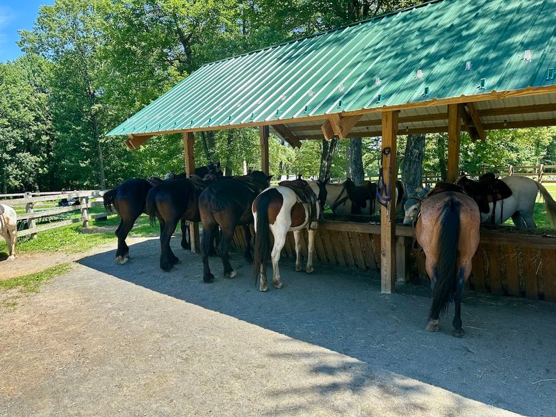 Cornerstone Ranch