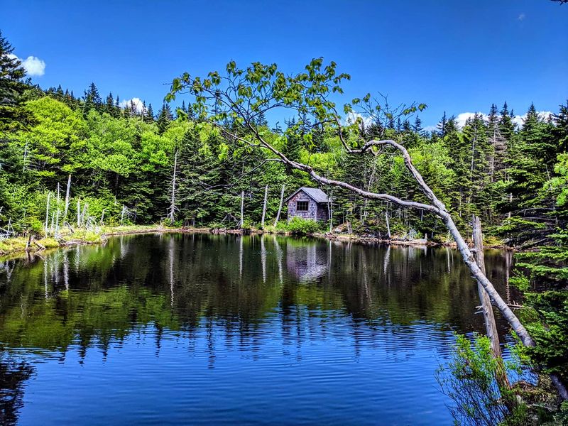 Mount Greylock State Reservation - Lanesborough