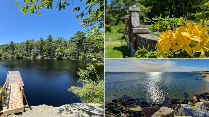 12 Massachusetts State Parks That Are Worth Visiting In June Before Peak Summer Arrives