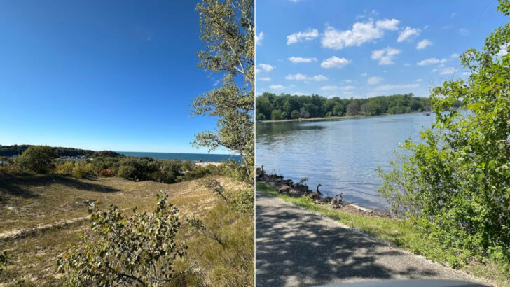 12 Michigan Destinations Perfect For Exploring With Your Four-Legged Friend