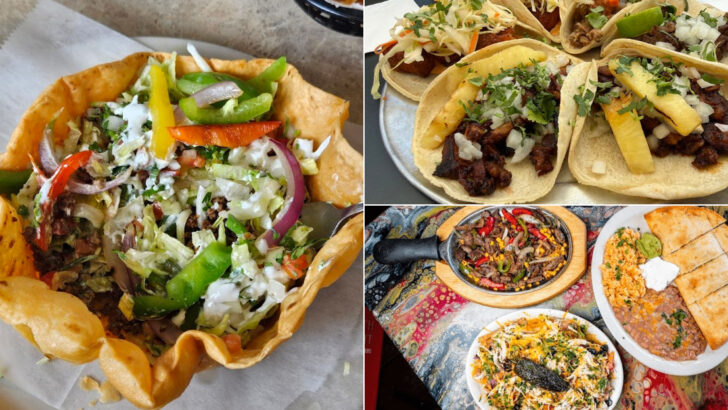 12 Michigan Mexican Restaurants Where Enchiladas Are Always The Right Choice