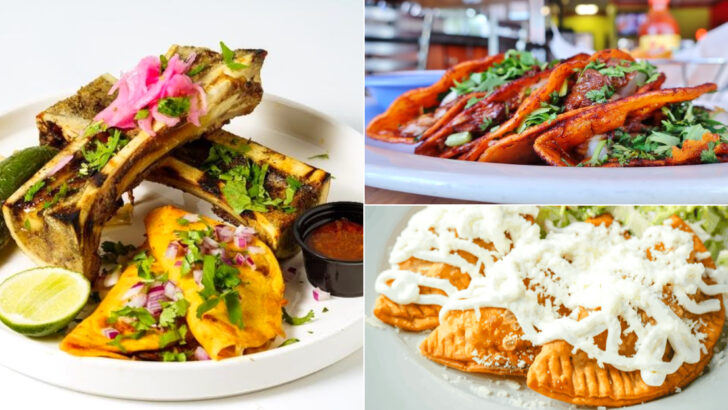 12 North Carolina Mexican Restaurants Where Enchiladas Are The Main Attraction
