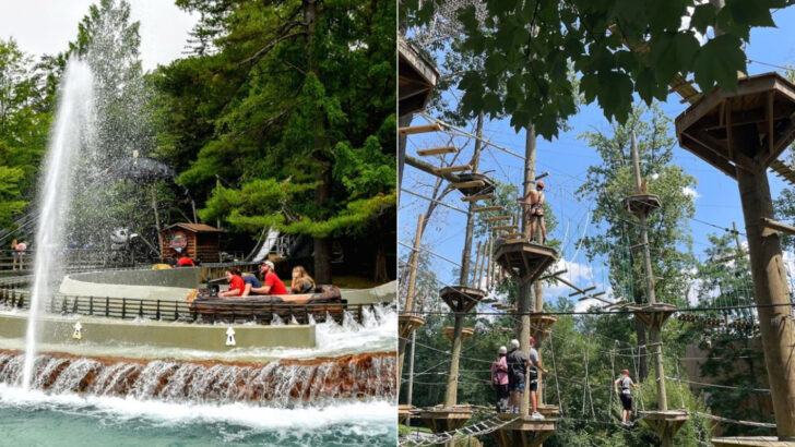 12 Pennsylvania Places That Practically Guarantee A Great Family Day This June