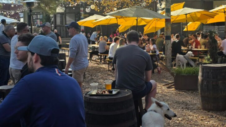 12 Pet-Friendly Restaurants In Georgia With Relaxed Atmosphere And Outdoor Seating
