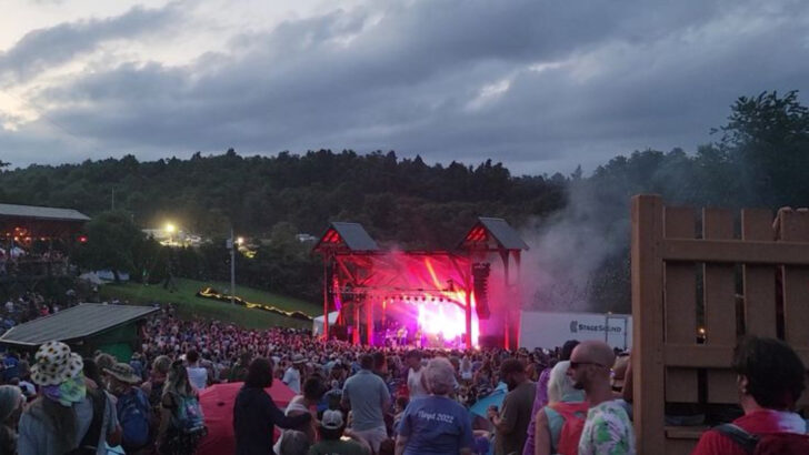 12 Summer Festivals In Virginia Worth Experiencing At Least Once
