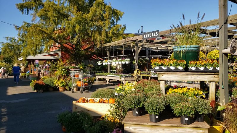 Merrifield Garden Center - Merrifield, Fairfax County