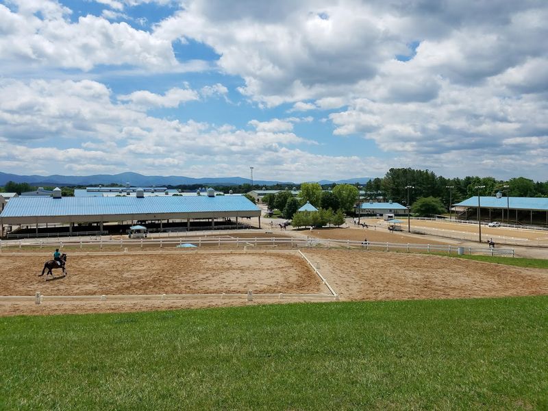 Virginia Horse Center