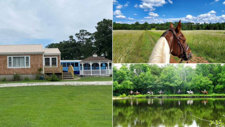 12 Virginia Ranches Worth Visiting For Their Scenery And Outdoor Activities