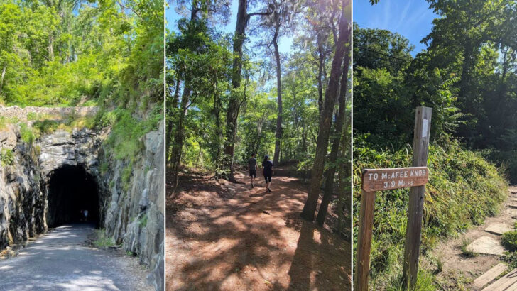 12 Virginia Trails Every Outdoor Enthusiast Should Explore
