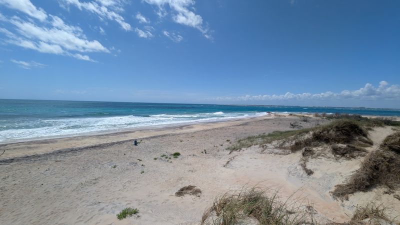 Shackleford Banks (Outer Banks)