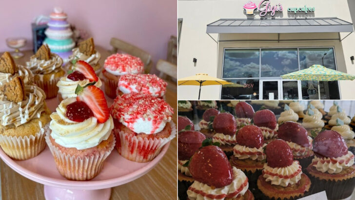 13 Cupcake Spots In Georgia Perfect For Parties, Gifts, And Sweet Cravings