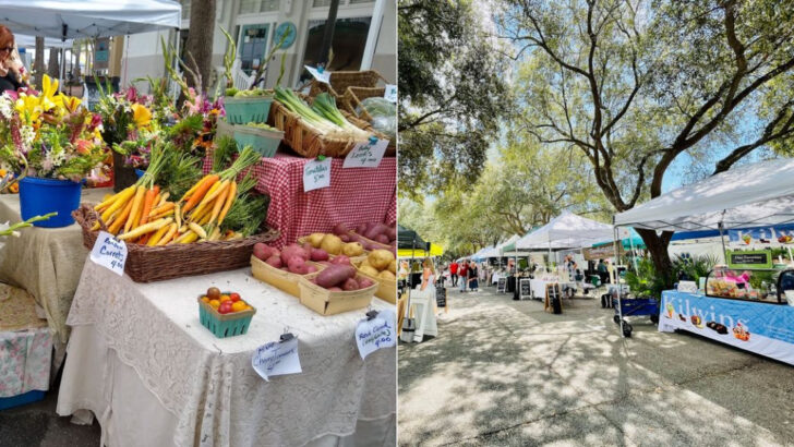 13 Florida Farmers Markets Where Bargain Hunters And Food Lovers Both Win