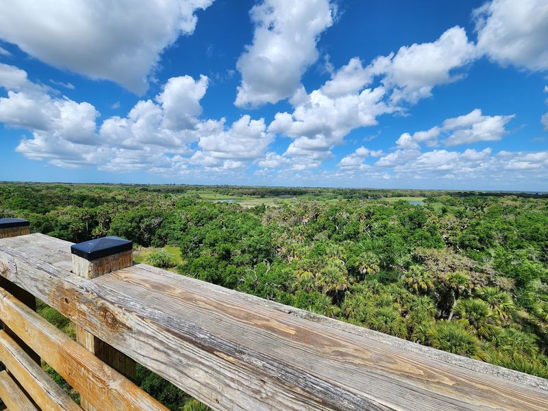 Myakka River State Park - Sarasota