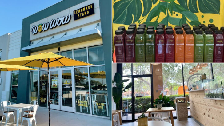 13 Florida’s Lemonade Stops Are The Only Thing Standing Between You And The Heat