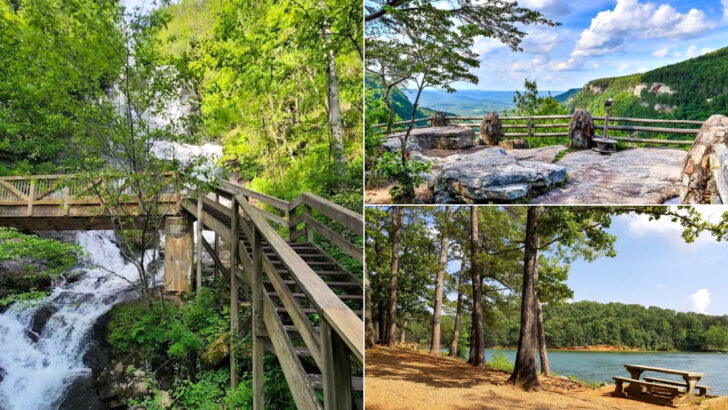 13 Georgia Parks Where Kids Can Burn Energy And Make Lasting Memories