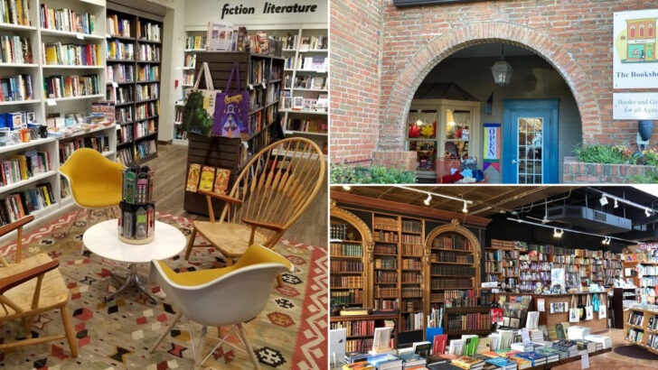 13 Hidden Bookstores In Ohio That Locals Love Keeping Under The Radar