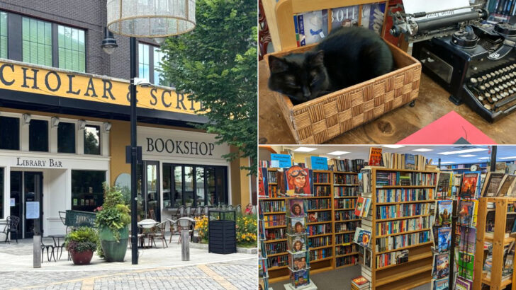 13 Hidden Bookstores in Georgia That Locals Quietly Adore