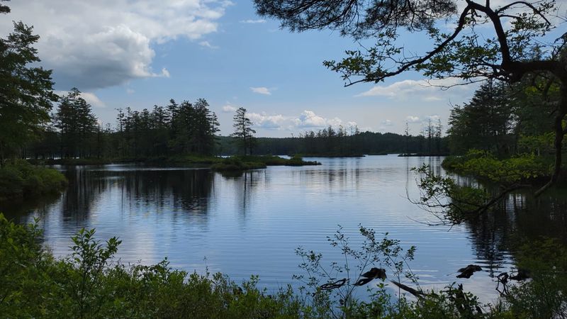 Tully Lake