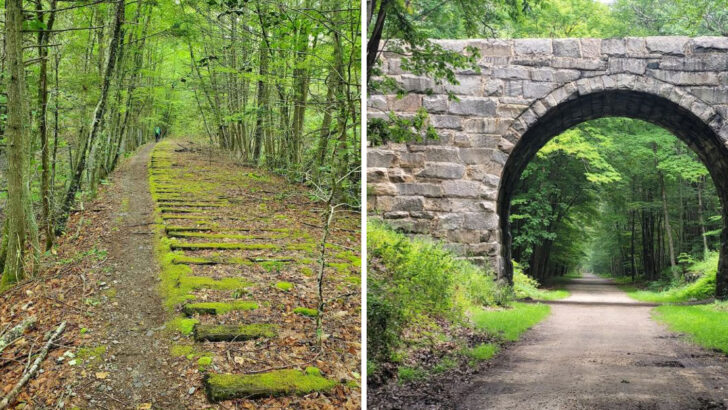 13 Massachusetts Parks That Feel Surprisingly Vast And Untouched