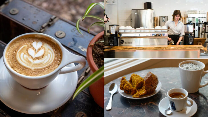13 Massachusetts Pet-Friendly Cafes Perfect For A Relaxing Afternoon Out