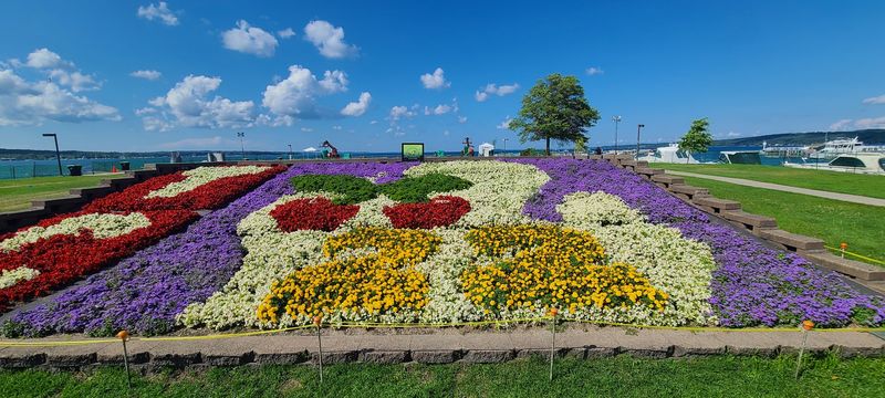 Traverse City, Grand Traverse County