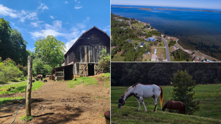 13 North Carolina Ranch Experiences Worth Adding To Your Travel Plans